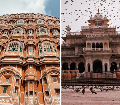 Jaipur Jungle Tour – 5 Days / 4 Nights | Pickup: Jaipur, Drop: Jaipur