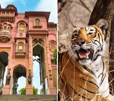 jaipur-to-ranthambore